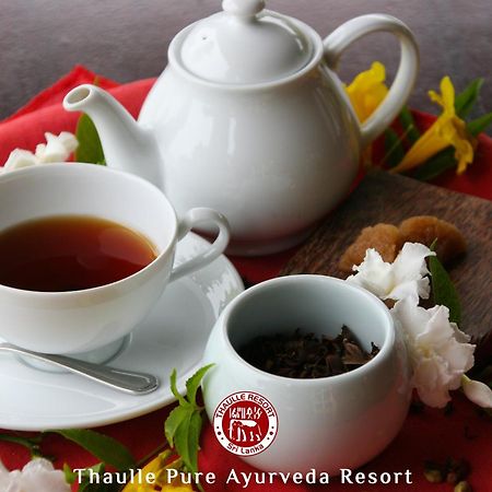 Thaulle Ayurveda Resort - Yala Tissamaharama Zewnętrze zdjęcie