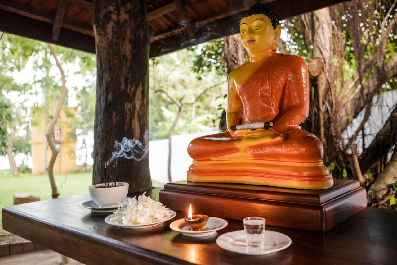 Thaulle Ayurveda Resort - Yala Tissamaharama Zewnętrze zdjęcie