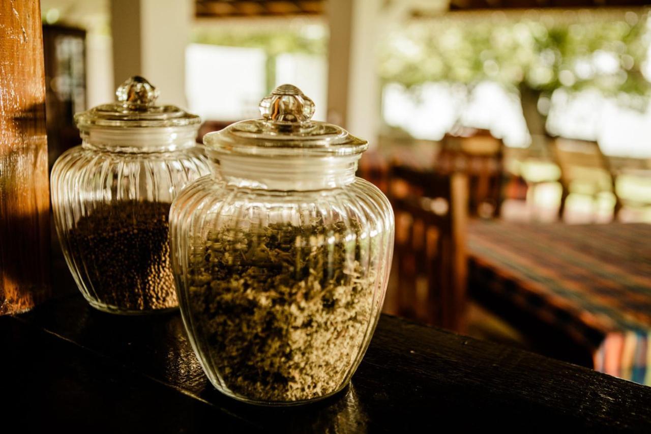 Thaulle Ayurveda Resort - Yala Tissamaharama Zewnętrze zdjęcie