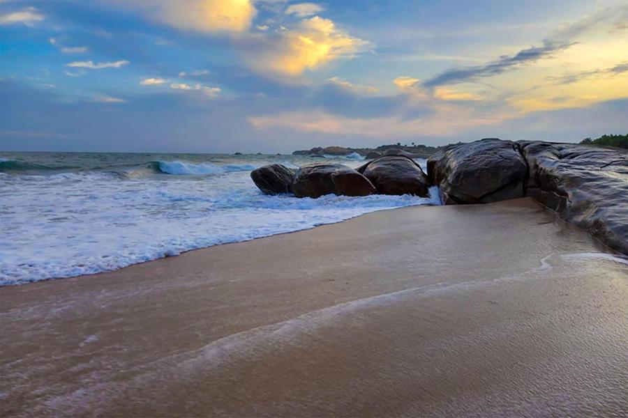 Thaulle Ayurveda Resort - Yala Tissamaharama Zewnętrze zdjęcie