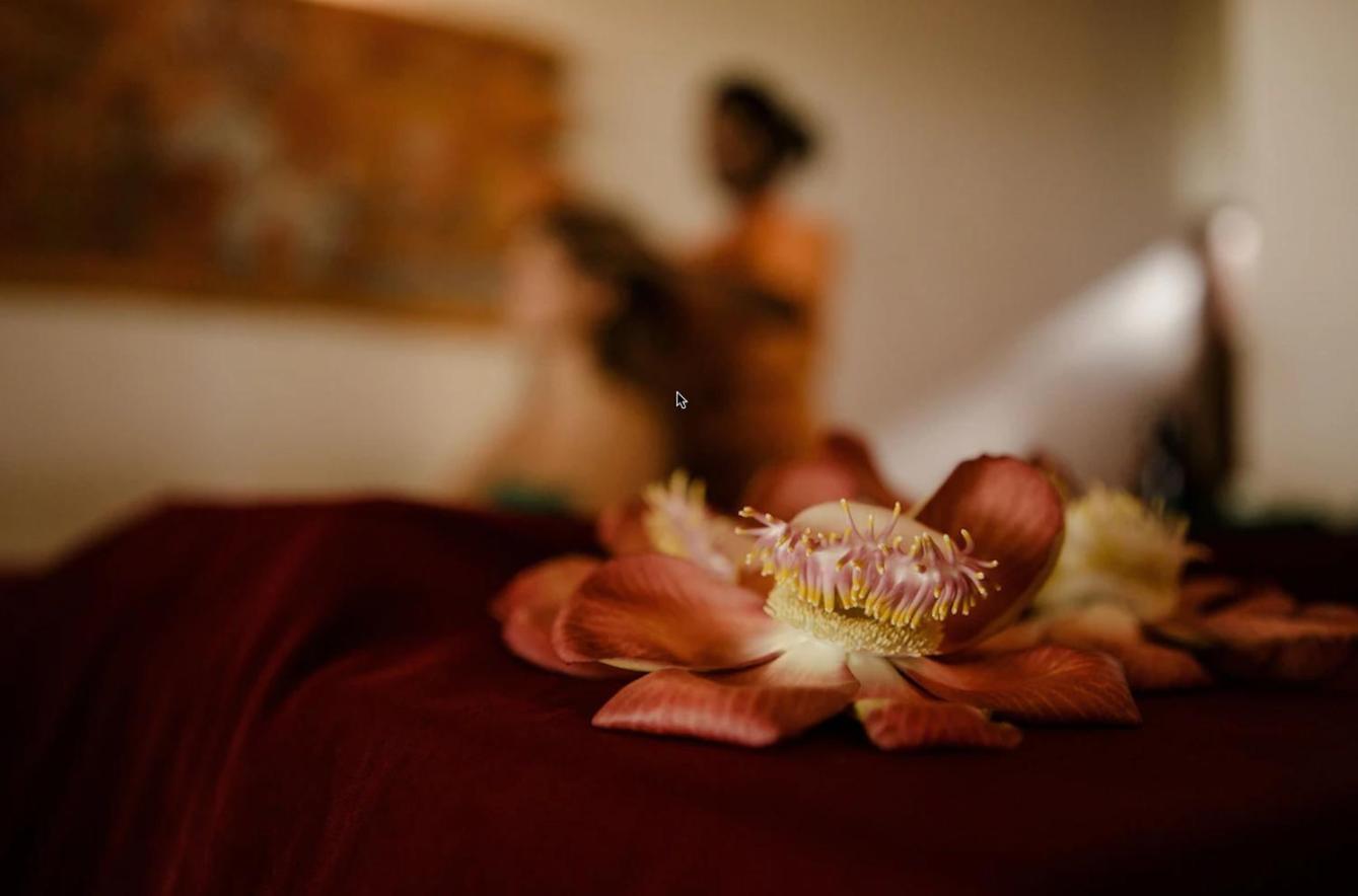 Thaulle Ayurveda Resort - Yala Tissamaharama Zewnętrze zdjęcie