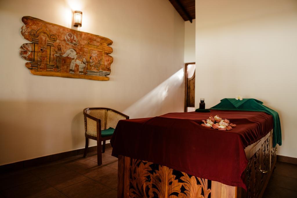 Thaulle Ayurveda Resort - Yala Tissamaharama Zewnętrze zdjęcie